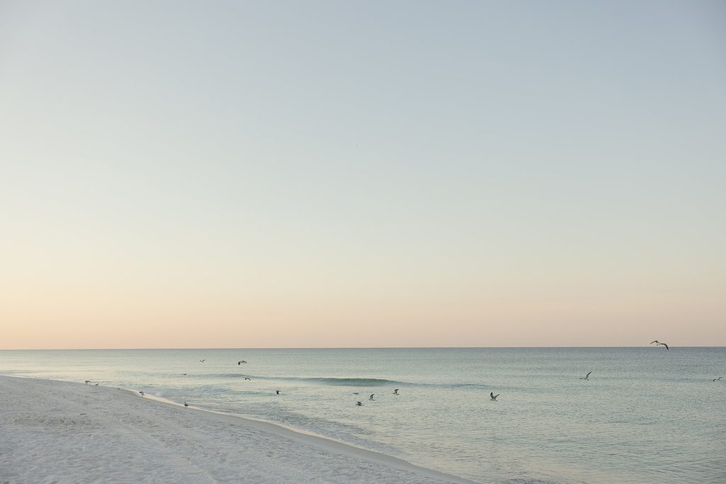 Birds flying over the water at the beach during sunset